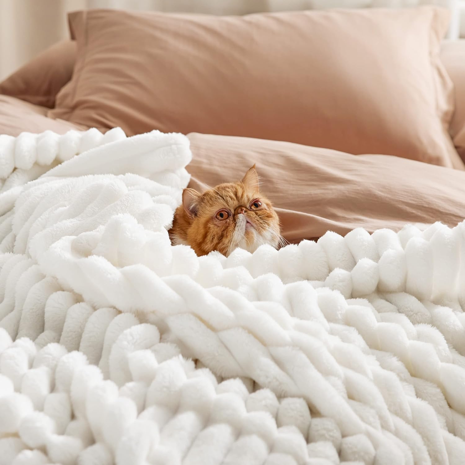 Solavo plush microfiber blanket close-up texture